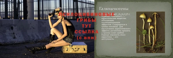 марки nbome Гусь-Хрустальный