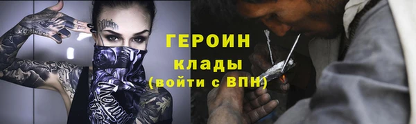 прущие грибы Гусев