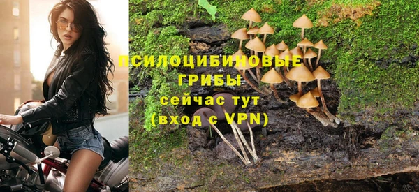 прущие грибы Гусев