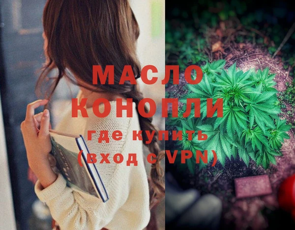 гидропоника Гусиноозёрск