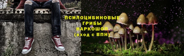 марки nbome Гусь-Хрустальный