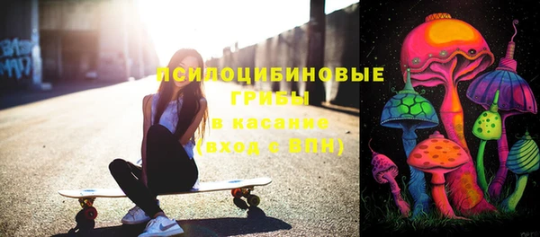 гидропоника Гусиноозёрск