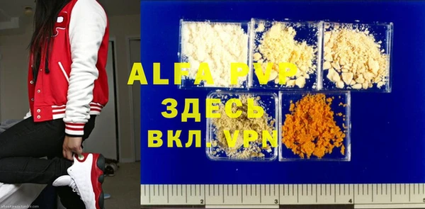 прущие грибы Гусев