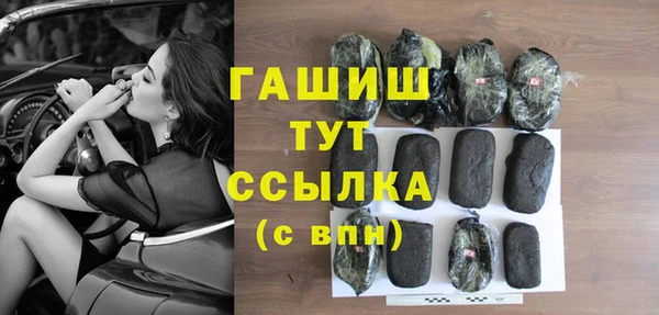 прущие грибы Гусев