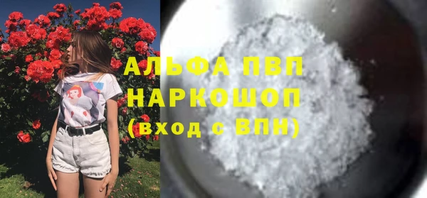прущие грибы Гусев