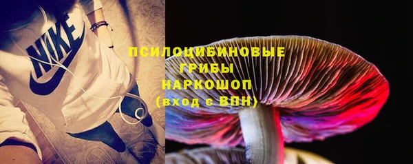 прущие грибы Гусев