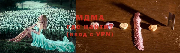прущие грибы Гусев
