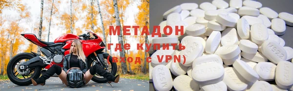 прущие грибы Гусев