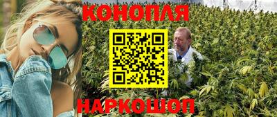 соль ск Кингисепп