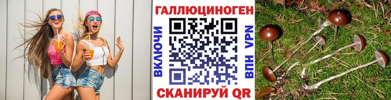 дарнет шоп Дальнереченск Галлюциногенные грибы Cubensis