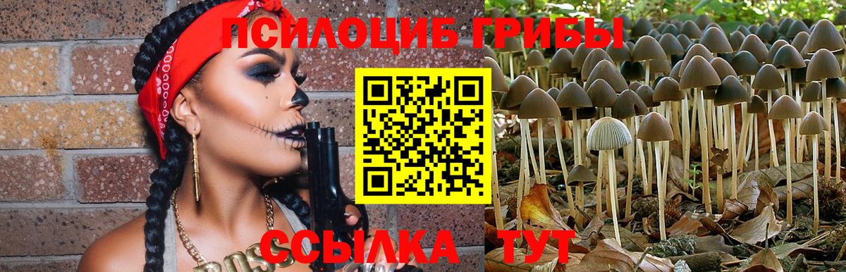 Галлюциногенные грибы ЛСД  Дальнереченск 