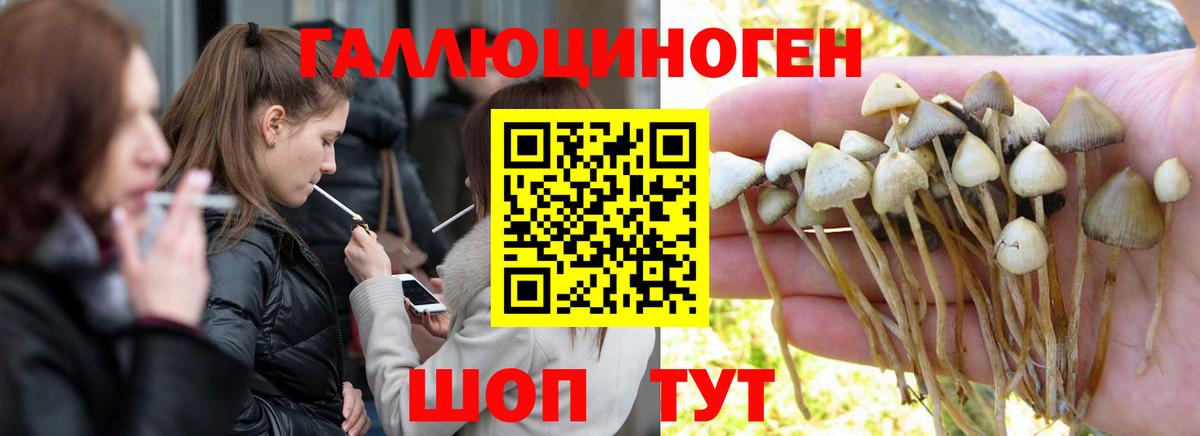 Галлюциногенные грибы мухоморы Дальнереченск